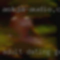 Adult dating Gerber