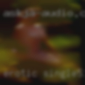 Erotic single