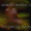 Screaming housewives fucked